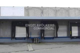 Gewerbeimmobilie mieten in 29227 Celle, Logistik-Liegenschaft in Celle