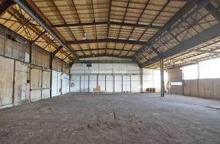 Gewerbeimmobilie mieten in 29221 Celle, Celle: Lagerhalle mit Aussenflächen zu vermieten