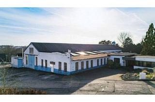 Gewerbeimmobilie kaufen in 42655 Solingen, Vielseitige Produktions- und Gewerbeimmobilie mit Kranbahnen, Wartungsgrube und Bürotrakt.