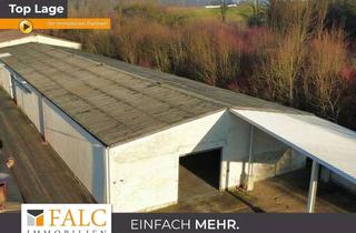 Gewerbeimmobilie mieten in 74219 Möckmühl, Ob Maschine oder Güter; der Platz ist da! - FALC Immobilien Heilbronn