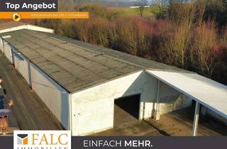 Gewerbeimmobilie mieten in 74219 Möckmühl, Platz gefällig? Praktische Lagerhalle in Möckmühl - FALC Immobilien Heilbronn
