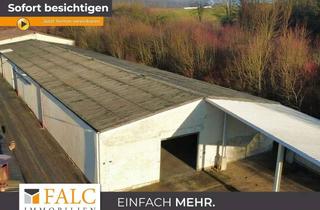 Gewerbeimmobilie mieten in 74219 Möckmühl, Großzügige Lagerhalle in Toplage - FALC Immobilien Heilbronn