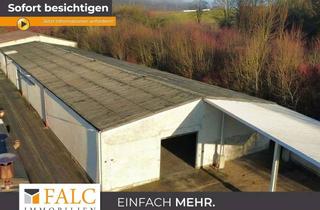 Gewerbeimmobilie mieten in 74219 Möckmühl, Perfekte Halle(n) für Logistik, Technik & Maschinen - FALC Immobilien Heilbronn
