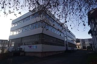 Büro zu mieten in Bahnhofstr 18, 99448 Kranichfeld, Gewerbegrundstück mit Hallen, Büro, Verwaltungs-und Nebengebäuden in 99448 Kranichfeld zu Vermietung