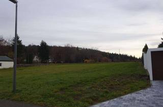 Grundstück zu kaufen in Kleindöbra 32, 95131 Schwarzenbach a Wald, Baugrundstück - Grundstück - Mischgebiet kein Bau Zwang