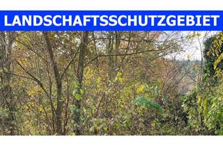 Grundstück zu kaufen in 90768 Dambach, Areal im Landschaftsschutzgebiet sucht Investor ...