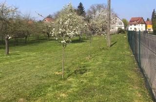 Grundstück zu kaufen in 71563 Affalterbach, Großzügiges Grundstück mit vielseitigen Bebauungsmöglichkeiten