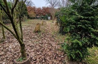 Grundstück zu kaufen in 22115 Billstedt, Baugrundstück in HH- Billstedt 600 m² mit Altbestand