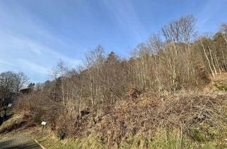 Grundstück zu kaufen in 67661 Mölschbach, Kaiserslautern – Stadtteil Mölschbach: Schönes Baugrundstück in Ortsrandlage