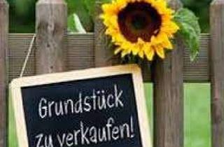 Grundstück zu kaufen in 67435 Gimmeldingen, Bauplatz für freist.1-3 Fam. Wohnhaus