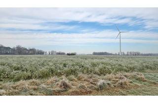 Gewerbeimmobilie kaufen in 46499 Hamminkeln, Großzügige Ackerfläche (ca. 3,28 ha) im Naturpark Hohe Mark-Westmünsterland – Gemarkung Dingden