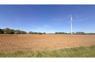 Gewerbeimmobilie kaufen in 46499 Hamminkeln, Großzügige Ackerfläche (ca. 3,28 ha) im Naturpark Hohe Mark-Westmünsterland – Gemarkung Dingden