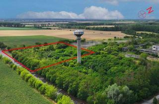 Grundstück zu kaufen in 39218 Schönebeck, Provisionsfreie Gewerbefläche bei Magdeburg zum Sonderpreis !