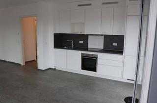 Wohnung mieten in Kleiner Graben 10, 29664 Walsrode, Modernes Wohnen in Südwestlage mit Blick über die Dächer Walsrodes