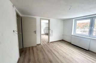 Wohnung mieten in 31079 Adenstedt, Modernisierte Dreizimmerwohnung in ruhigem Umfeld! Naturnah, hell und ruhig!