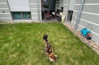 Wohnung mieten in 12524 Altglienicke, 2-Zimmer-Wohnung mit Garten