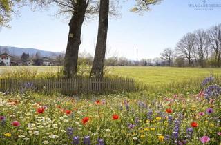 Haus kaufen in 83703 Gmund, Traumhaus in Traumlage