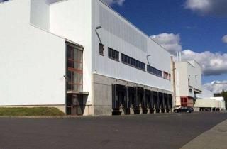 Gewerbeimmobilie mieten in Im Gewerbegebiet 18, 36289 Friedewald, Moderne Lager- und Logistikfläche in guter Lage – sofort bezugsfertig