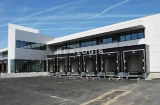 Gewerbeimmobilie mieten in 49504 Lotte, Lotte, ca. 7.000 m² Neubauhallenfläche zu vermieten