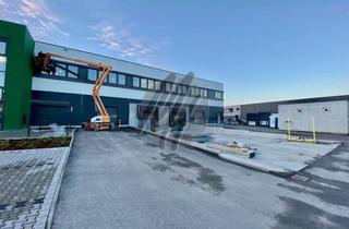 Büro zu mieten in 63755 Alzenau, NEUBAU / ERSTBEZUG ✓ RAMPE + EBEN ✓ Lager (5.200 m²) & Büro (800 m²) zu vermieten