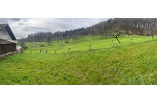 Grundstück zu kaufen in 64646 Heppenheim, Baugrundstück in ruhiger Lage am Waldrand