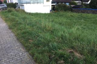 Grundstück zu kaufen in Guttenbergstraße 13, 76887 Bad Bergzabern, Bauplatz in ruhiger Lage