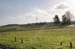 Grundstück zu kaufen in Laufersweiler Straße 34, 55487 Sohren, Großzügiges Eckgrundstück mit Blick Richtung Soonwald