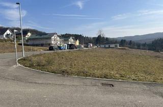 Grundstück zu kaufen in 61479 Glashütten, Traumgrundstück im Taunus (Glashütten – Schloßborn)