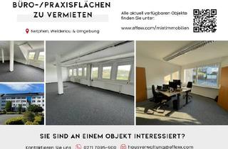 Büro zu mieten in 57250 Netphen, Büro-/Praxisflächen und Lagerflächen zu vermieten