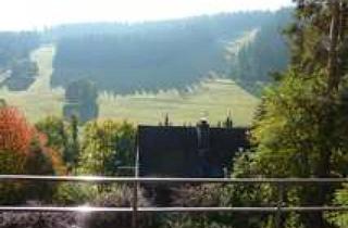 Wohnung mieten in Sommerberg, 79868 Feldberg, Feldberg-Altglashütten: schöne 2 Zi-Wohnung mit Aussicht