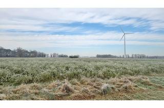 Immobilie kaufen in 46499 Hamminkeln, Großzügige Ackerfläche (ca. 3,28 ha) im Naturpark Hohe Mark-Westmünsterland – Gemarkung Dingden