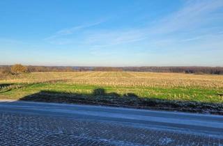 Doppelhaushälfte kaufen in 17192 Waren, Waren (Müritz) - Doppelhaushälfte Neu Schloen - Komfort, Ruhe & Natur im Einklang