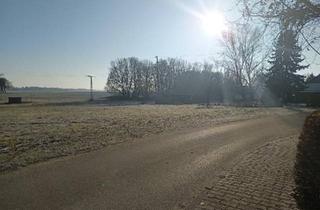 Haus kaufen in 17091 Rosenow, Rosenow - DH, gepflegtes Anlageobjekt mit großem Garten