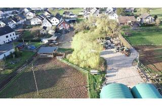 Einfamilienhaus kaufen in 54518 Osann-Monzel, Osann-Monzel - Einfamilienhaus mit genehmigter Pferdehaltung, Reitplatz