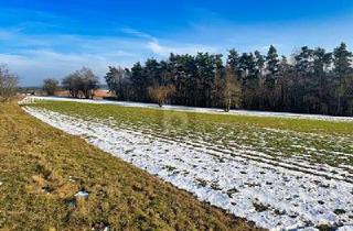 Grundstück zu kaufen in 92436 Bruck, Bruck in der Oberpfalz - LANDWIRTSCHAFTLICHE NUTZUNG