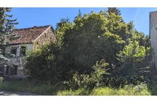 Bauernhaus kaufen in 67754 Eßweiler, Eßweiler - Grundstück ca. 470 qm, mit altem Bauernhaus