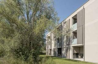 Sozialwohnungen mieten in Nezfeld 15, 78315 Radolfzell, WBS erforderlich ! 2-Zimmerwohnung mit Balkon