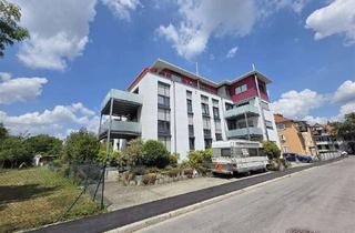 Wohnung mieten in 78224 Singen, Charmante 4-Zimmer-Mietwohnung in ruhiger Lage.