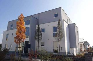 Wohnung mieten in 68542 Heddesheim, Exklusive 3-Zimmer-OG-Wohnung mit großem Balkon & TG-Stellplätzen in Heddesheim