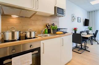 Wohnung mieten in Kirchstraße 65a, 63512 Hainburg, Wohnliches 1-Zimmer-Apartment, klimatisiert, voll möbliert & ausgestattet in Hainburg