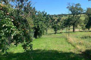 Haus kaufen in 76359 Marxzell, 2 Häuser mit großer Grünlandfläche und Weitblick - Ruhiger Wohntraum für Natur- u. Tierliebhaber
