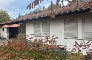 Haus mieten in Bergstraße 108, 76646 Bruchsal, Neu renoviertes Haus am Bach