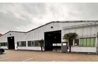 Gewerbeimmobilie kaufen in 46286 Dorsten, 2 Gewerbehallen und ein 2-Familienhaus in Dorsten