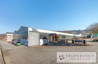 Gewerbeimmobilie kaufen in 71549 Auenwald, Großes Gewerbeareal mit Hallenflächen, Stellplätzen und Ertragspotenzial