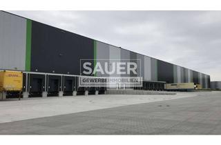 Gewerbeimmobilie mieten in 14641 Wustermark, 7.787 m² Logistikhalle mit 8 Rampendocks im GVZ Wustermark *2348*