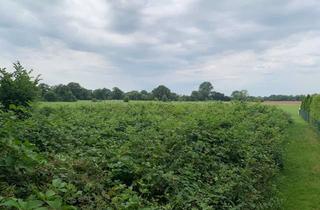 Grundstück zu kaufen in 24568 Kaltenkirchen, Freizeitfläche für Naturliebhaber am Stadtrand