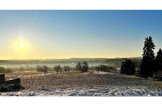 Grundstück zu kaufen in Haydnweg, 69254 Malsch, Traumgrundstück am Weinberg für eine Villa mit großem Pool im Weinort Malsch.