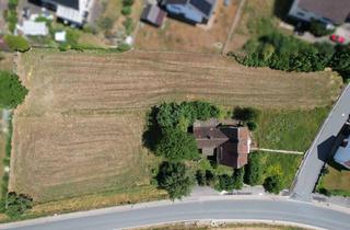 Grundstück zu kaufen in 37671 Höxter, 4.200 m² Baugrundstück mit Altbestand in Höxter-Ottbergen