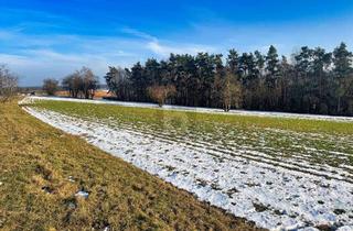 Grundstück zu kaufen in 92436 Bruck, LANDWIRTSCHAFTLICHE NUTZUNG