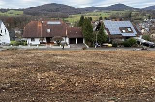 Grundstück zu kaufen in 63877 Sailauf, Voll erschlossenes Baugrundstück in Bestlage *Provisionsfrei*